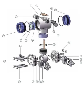 Differential Pressure Transmitter Structure Diagram